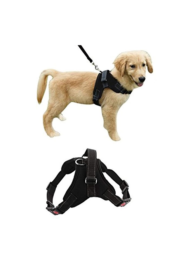 Dog harness, reflective, comfortable, size L