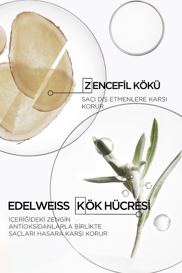 - Genesis Bain Riche saça dolgun bir görünüm kazandıran Dolgunlaştırıcı Şampuan 250ml - 3