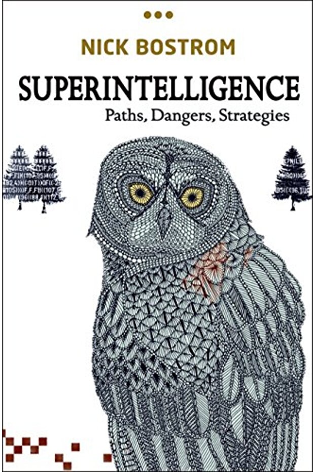 Superintelligence Paths Dangers Strategies