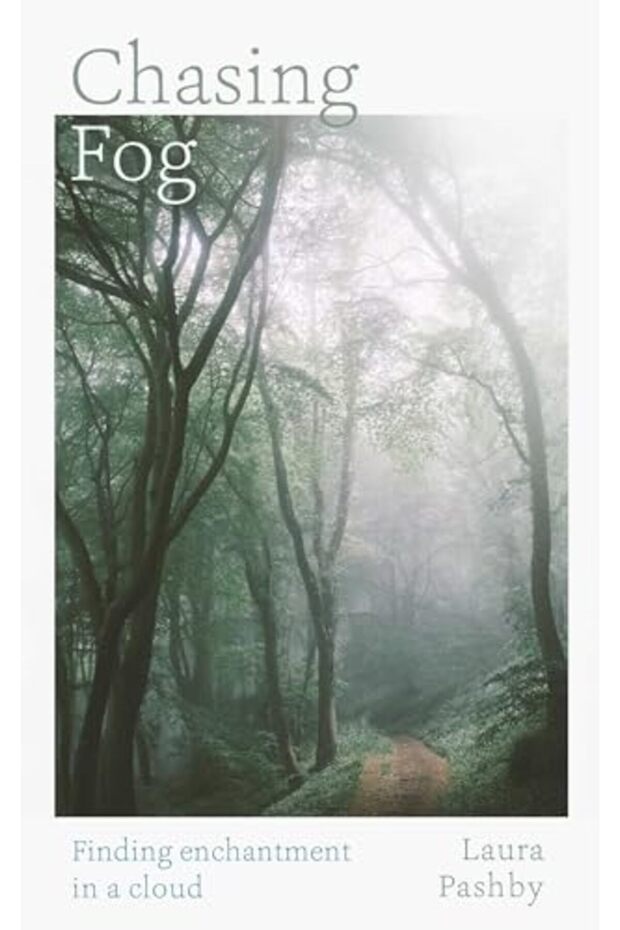 Chasing Fog - 1