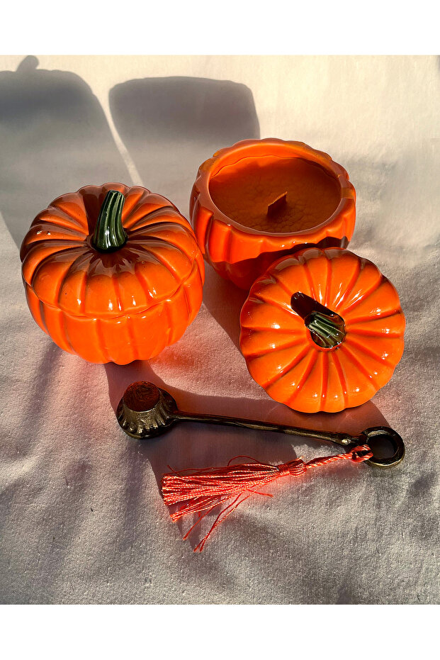 Pumpkin Mum / S