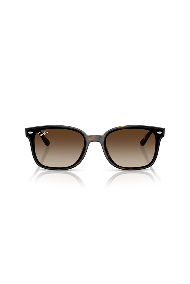 RAY BAN UNISEX RECTANGLE Sun- RB 4461D - lense size:64mm - HAVANA
