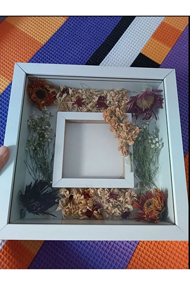 Anne & Memory Frame - 4