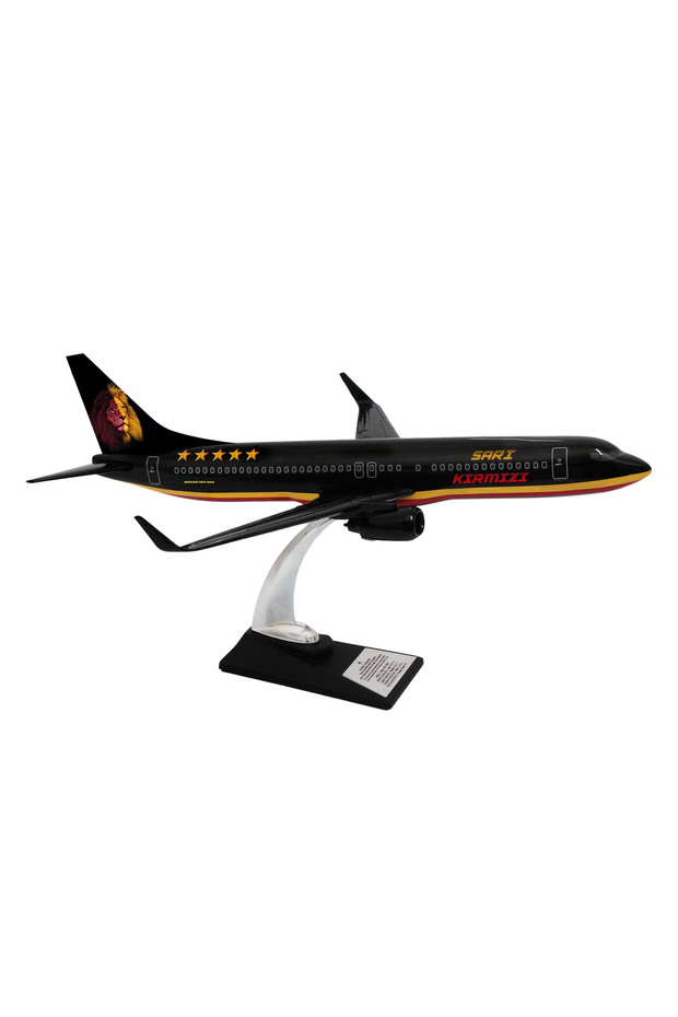 Boeing 737-800 1/100 Ölçek Klasik Aslan Tasarımlı Siyah Maket Uçak (UCK0211) - 2