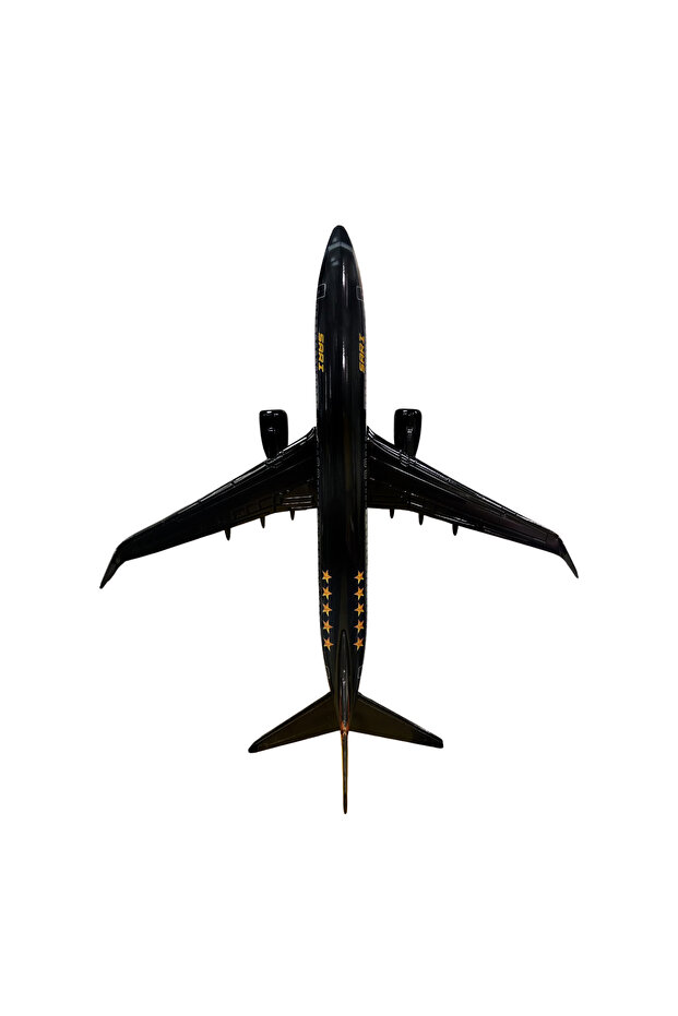 Boeing 737-800 1/100 Ölçek Klasik Aslan Tasarımlı Siyah Maket Uçak (UCK0211) - 5