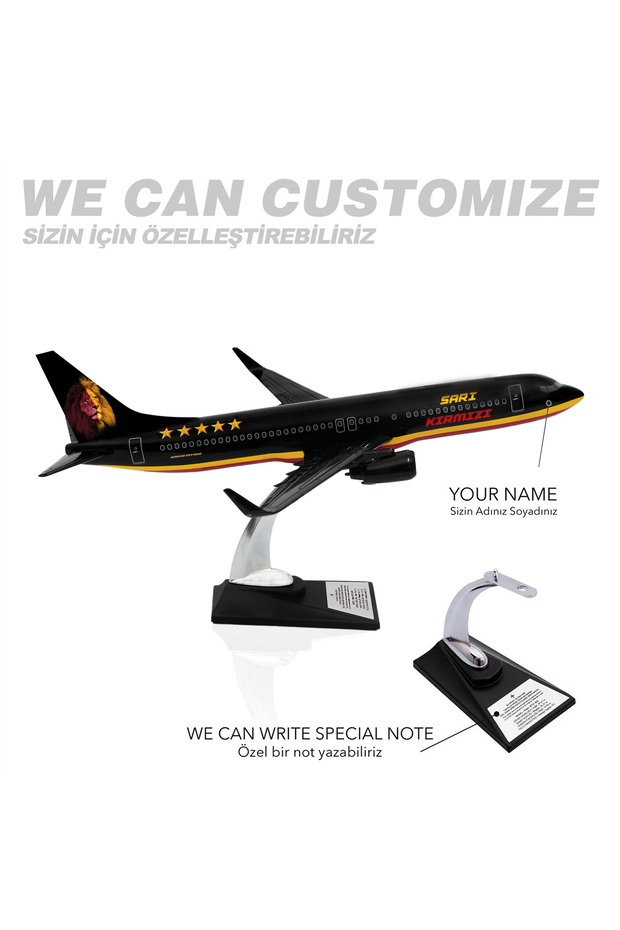 Boeing 737-800 1/100 Ölçek Klasik Aslan Tasarımlı Siyah Maket Uçak (UCK0211) - 6