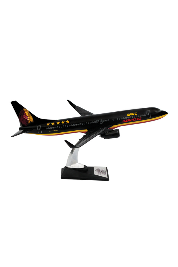 Boeing 737-800 1/100 Ölçek Klasik Aslan Tasarımlı Siyah Maket Uçak (UCK0211) - 4