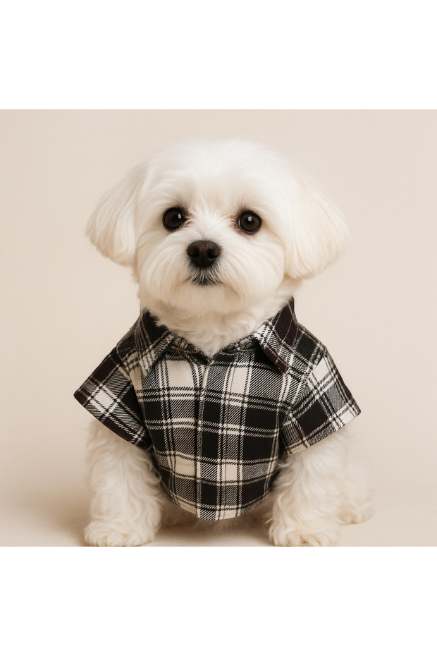 Dog Shirt – Plaid Patterned Small Breed Apparel