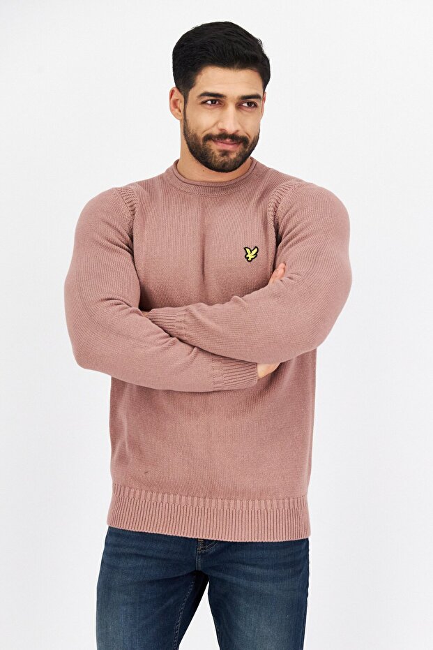 Men Crew Neck Long Sleeve Brand Logo Sweater, Light Pink