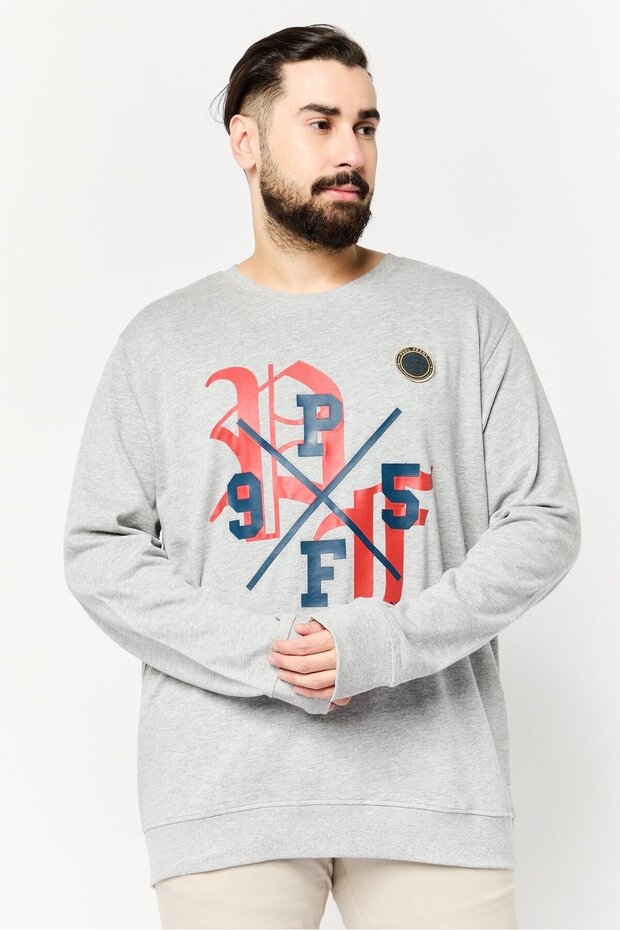 Men Crew Neck Long Sleeves Graphic Print Sweatshirt, Grey
