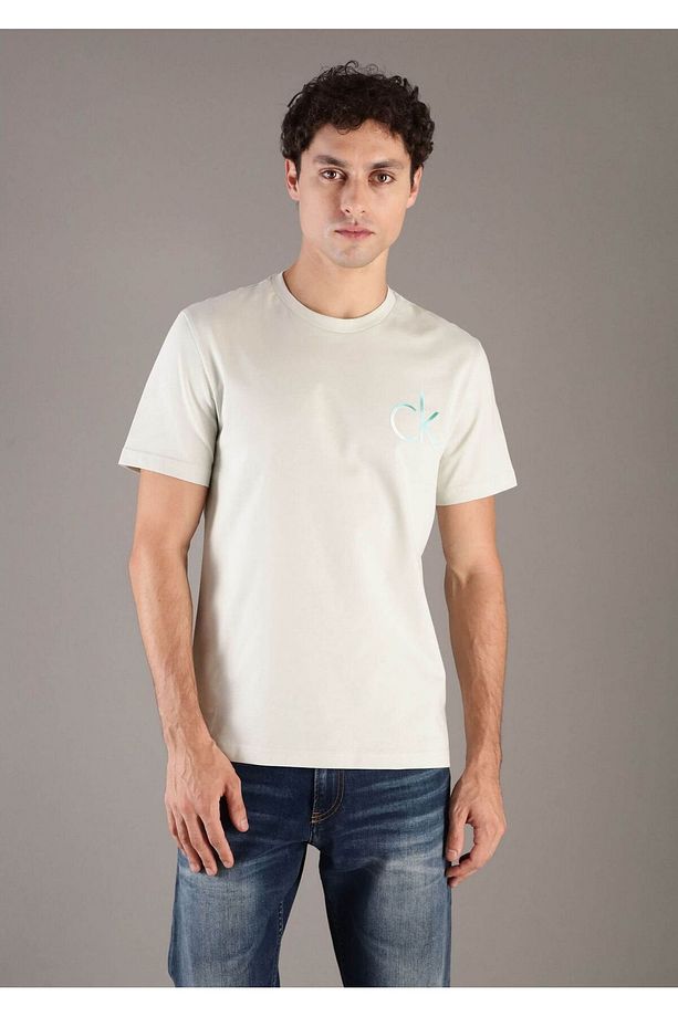 Erkek Bisiklet Yaka Kısa Kol Regular Fit Pamuıklu Bej1 T-Shirt K10K114146-PFH - 1