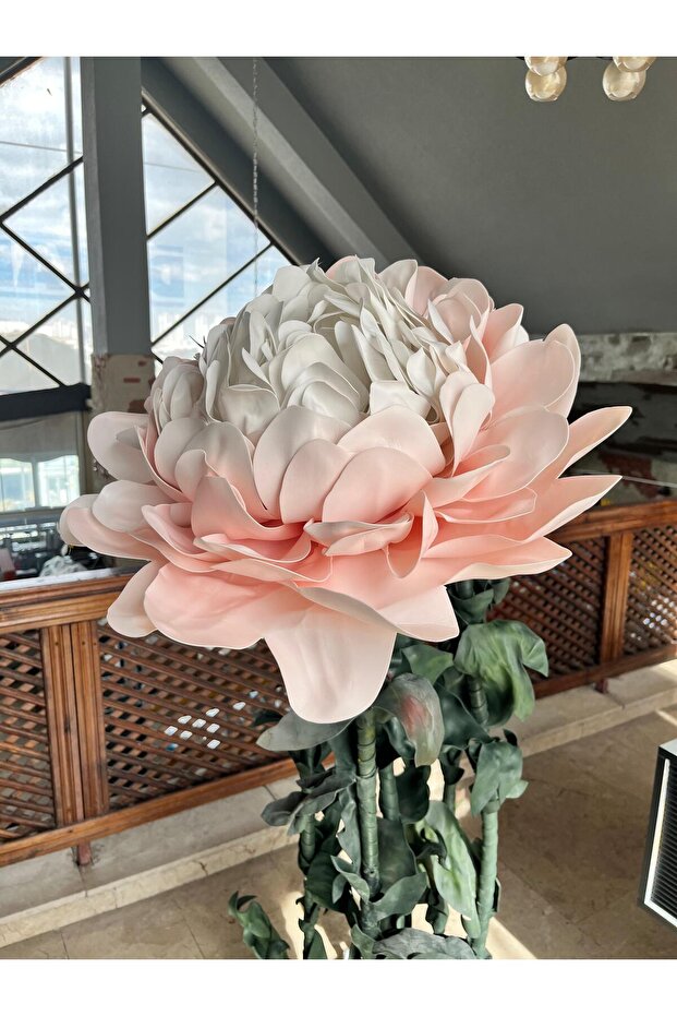 Dev Şakayık Çiçeği - 3