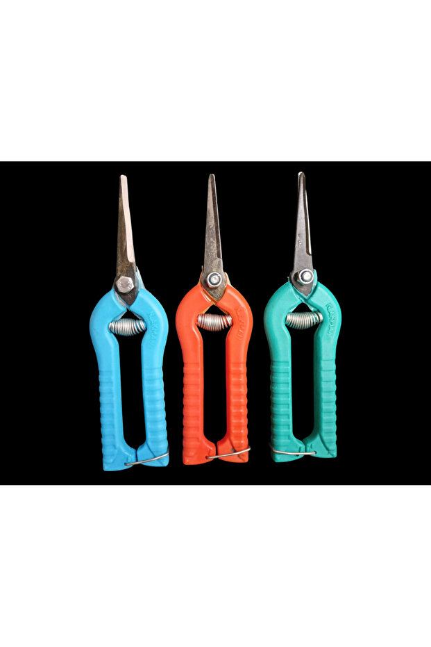 Pruning Scissors Citrus Seedling Pruning Scissors 1 Pcs - 3