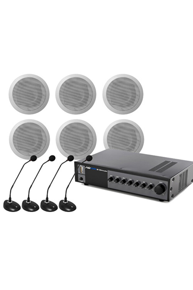 1Ceiling conference audio system - 1