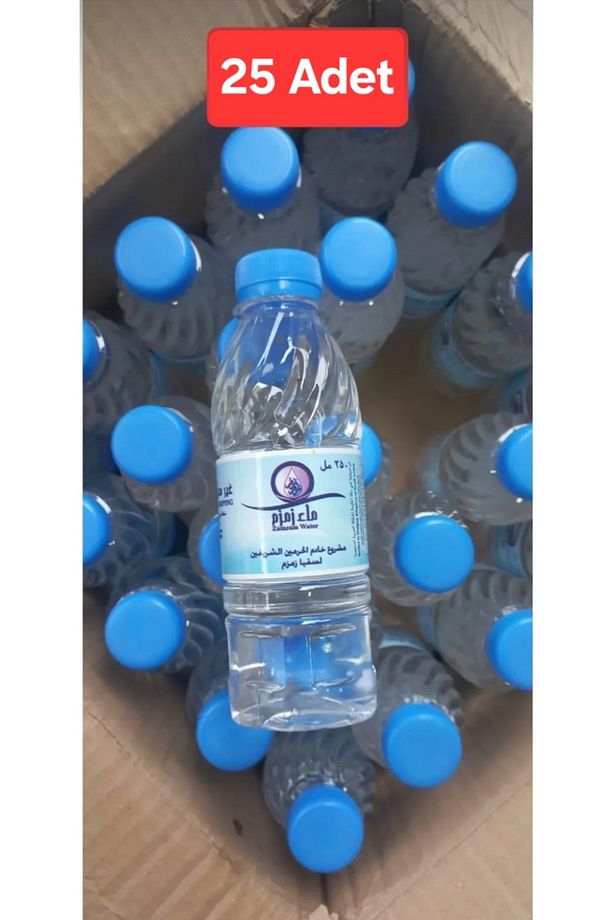 Orgınal Suyu 250ml × 25 Adet - 1