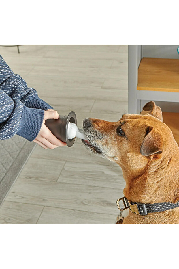 Dog Training Set - Magic Tricks - 6