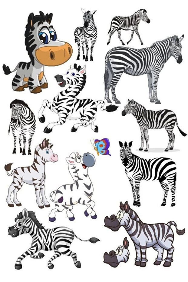 Zebra Sticker Set-1 13 Pieces Phone, Tablet, Notebook, Laptop Sticker