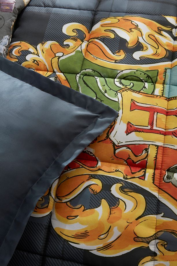 Harry Potter Dormiens Tek Kişilik Comfort Set - 6