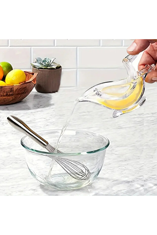 Bird Shaped Presentation Lemon Squeezer - 5