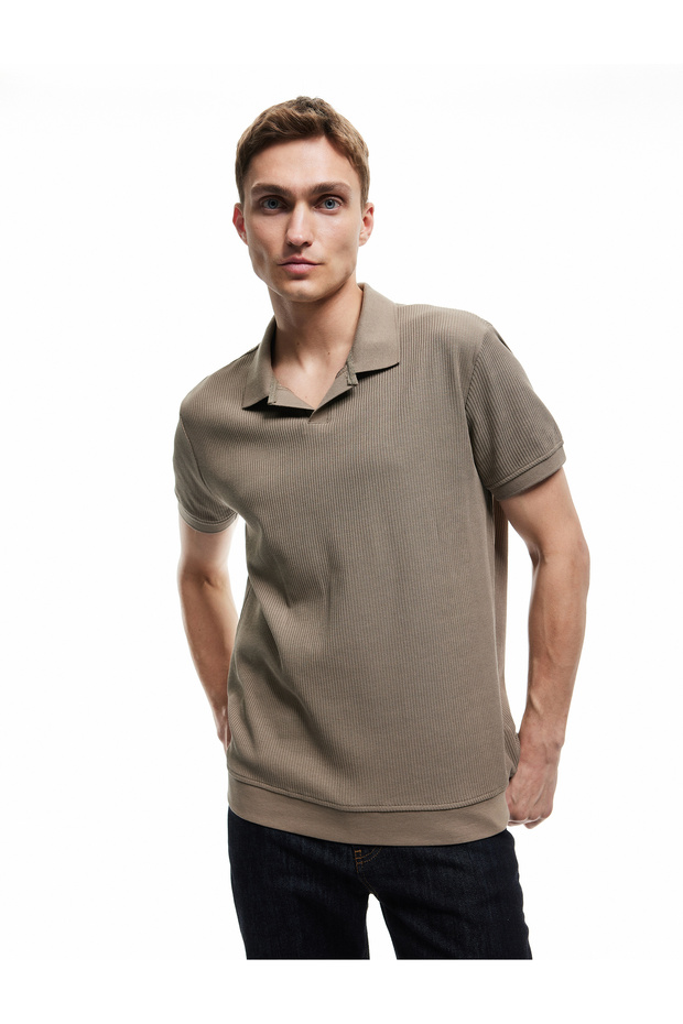 Cotton Short Sleeve Textured Regular Fit Polo Neck T-Shirt