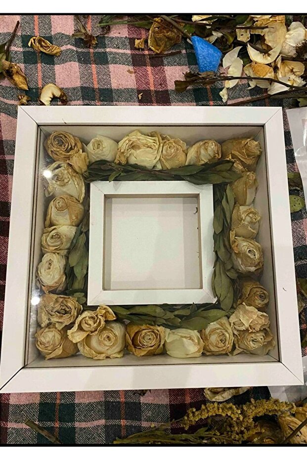 Anne & Memory Frame - 1