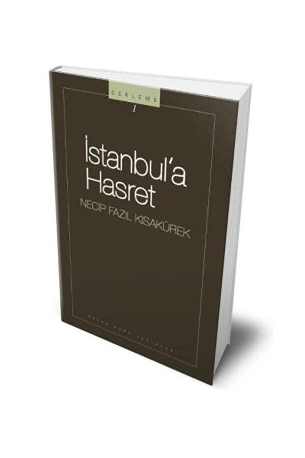 İSTANBULA HASRET