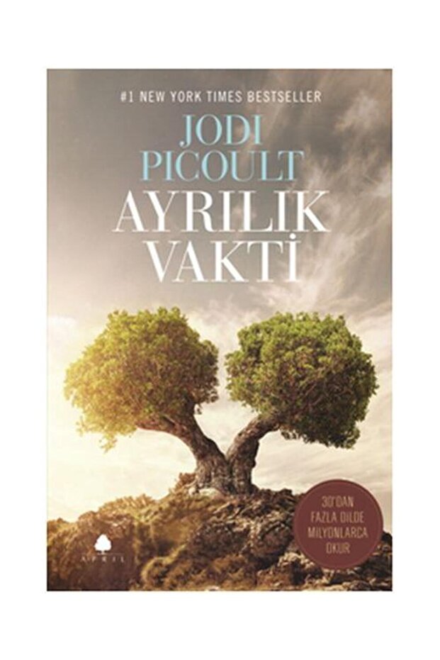 Ayrılık Vakti / April Yayıncılık / Jodi Picoult