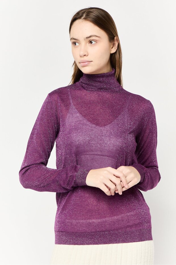 Women Turtle Neck Textured Sweater, Purple