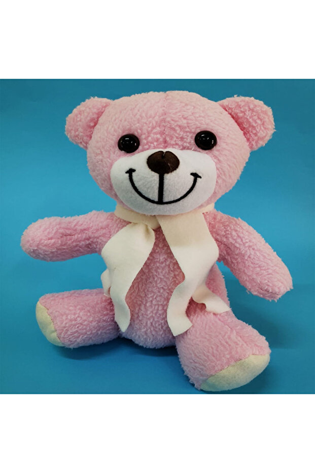 Pink Plush Scarf Teddy Bear