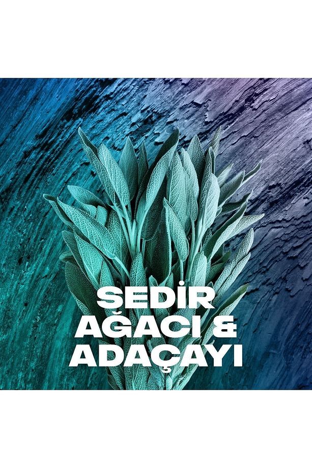 Apollo Erkek Sprey Deodorant 150 Ml (2 Adet) - 7