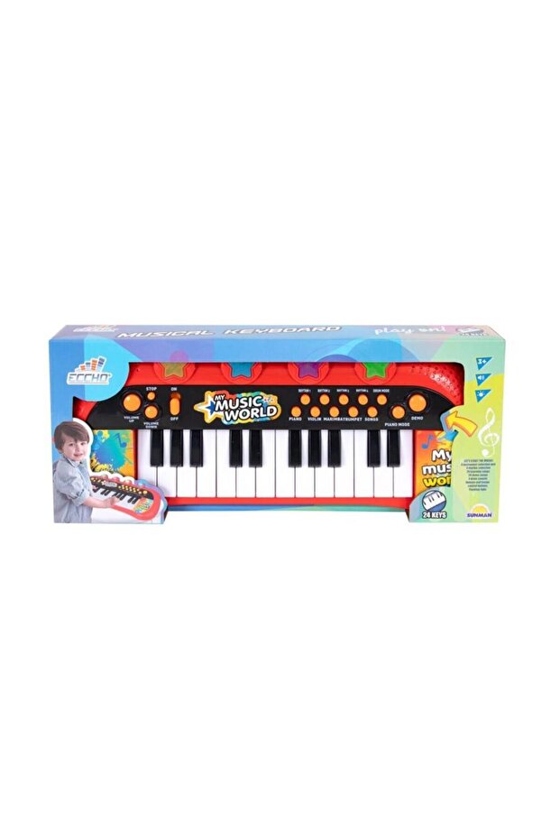 4381 Electronic Organ 24 Keys
