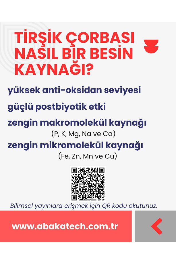 Tirşik-klasik-1 L Kavanoz-postbiyotik Çorba-2 Adet Maya Hediye-türkiye'de Ilk! - 4