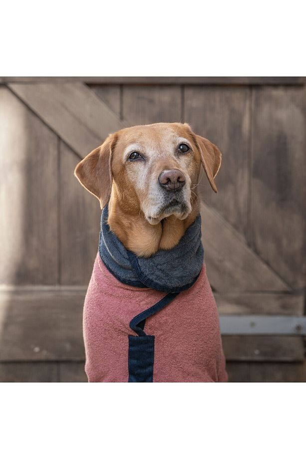 Köpek Bornozu Limited Edition Dusk/Ocean - 1