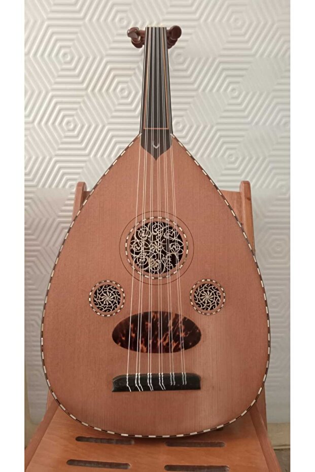 El yapımı üst seviye ud - 1