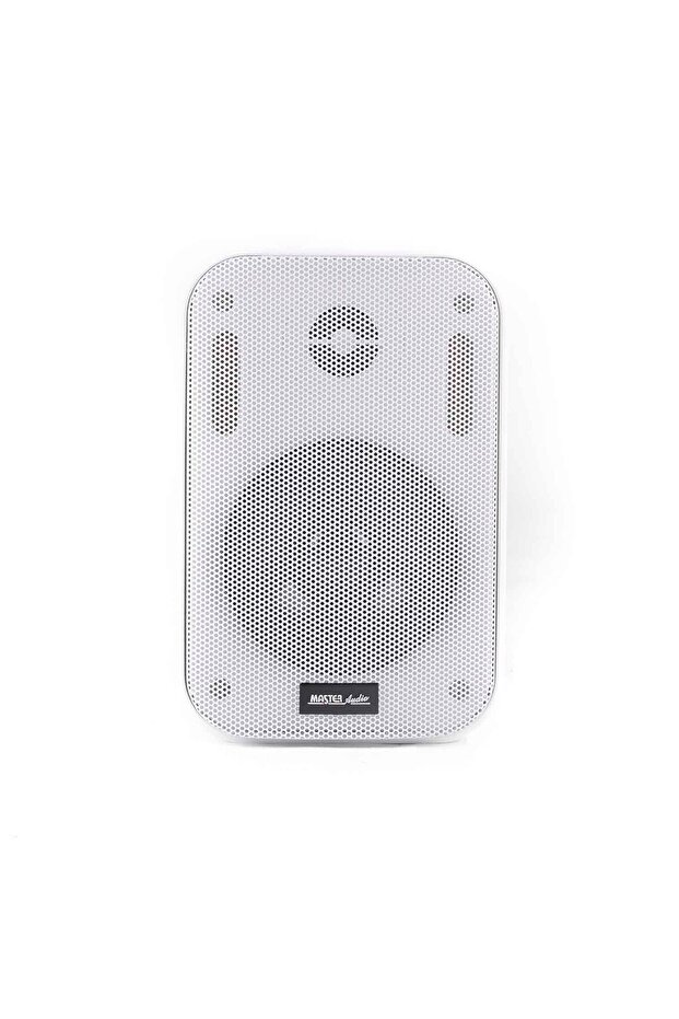 Set boxe 100V Master Audio CMP400W - 4