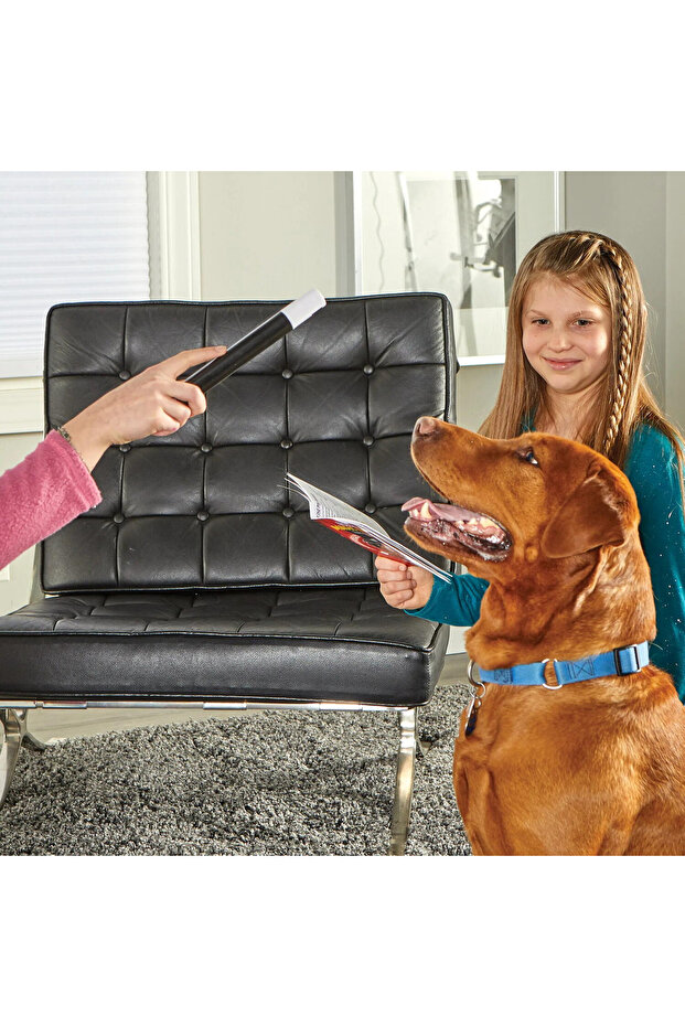 Dog Training Set - Magic Tricks - 7