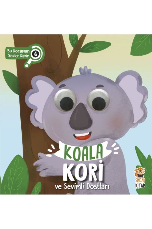 Whose Big Eyes Are These? 6 Koala Kori and Her Cute Friends