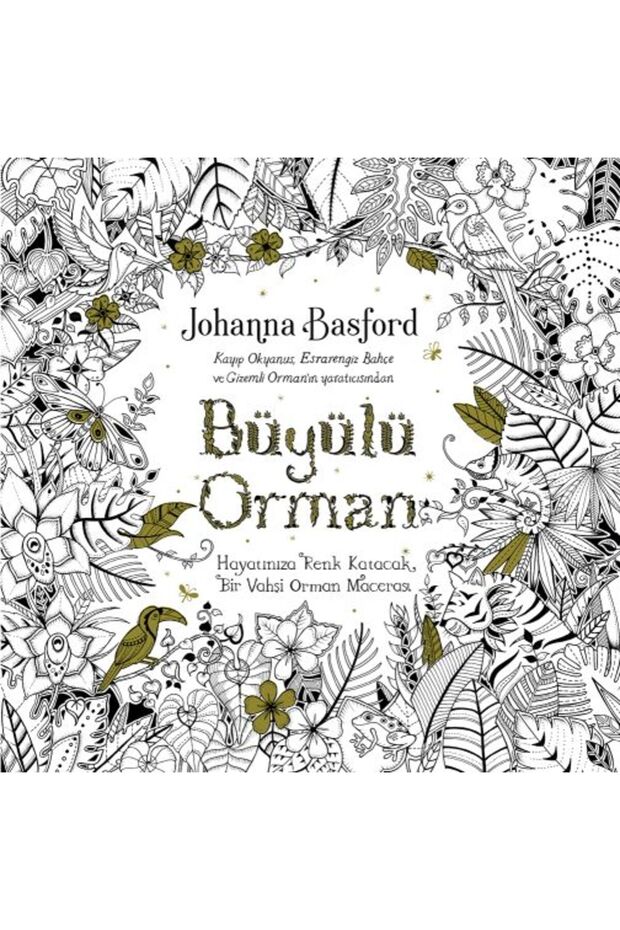 الغابة المسحورة - 1