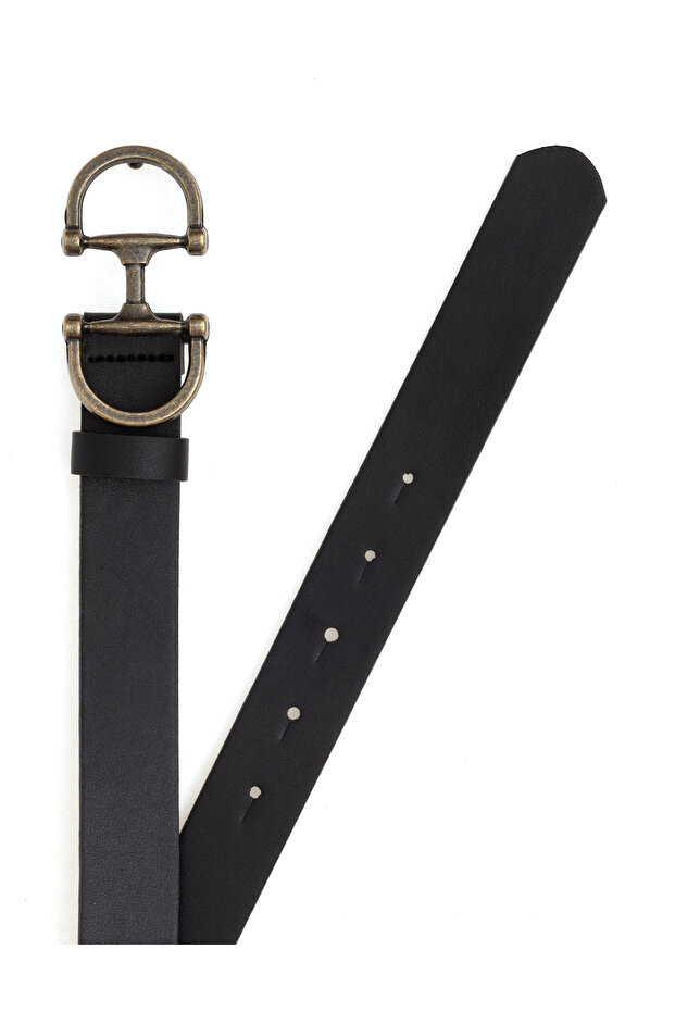 Black Belt 50313907-Vr046