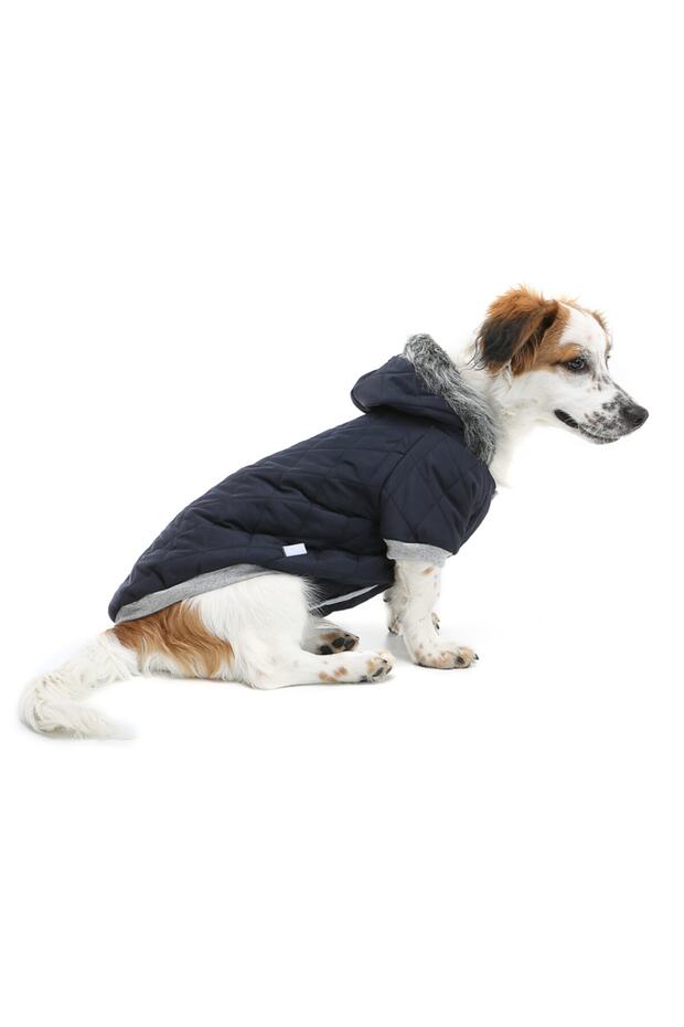 Small Breed Navy Puff Dog Coat Cat Dog Suit