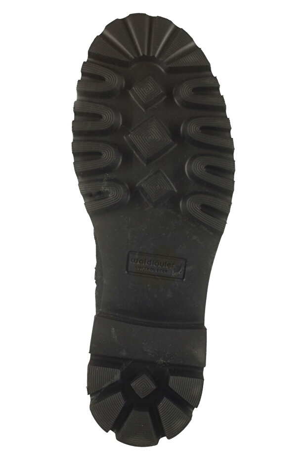 Netezire - 7