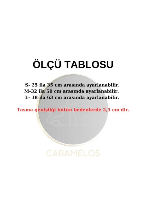 KÖPEK TASMA SETİ KİŞİYE ÖZEL İSİMLİ TASMA, H TİPİ TASMA ,GÖVDE BOYUN GEZDİRME TASMASI, KÖPEK KÜNYE - 8