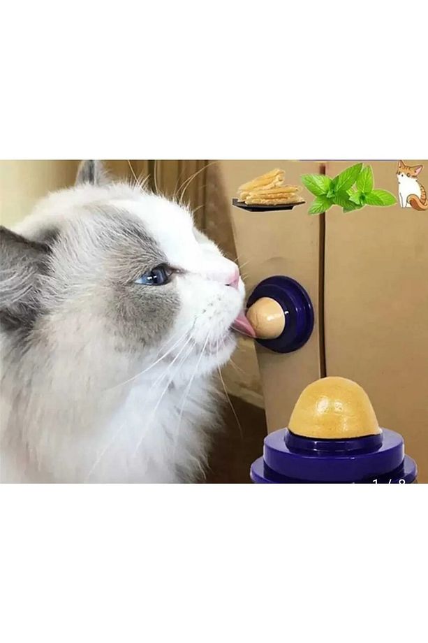 Kediler Için Catnip Catnipli Şeker Yalama Topu Yapışkanlı Ödülü Catnip - 1