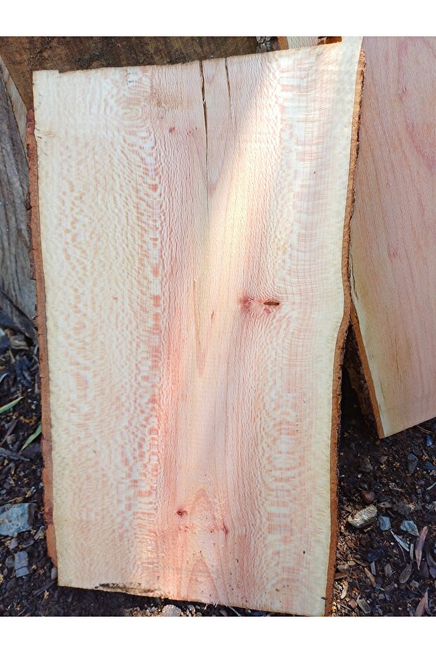 طاولة شجرة الطائرة (2 قطعة) - 5