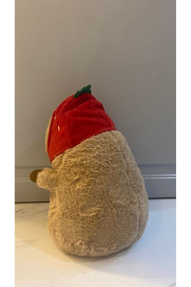 Kapibara Peluş Oyuncak Figür Yüksek Kalite Capybara Sevimli Kapibara Yumuşak Yastık Uyku Arkadaşı - 4