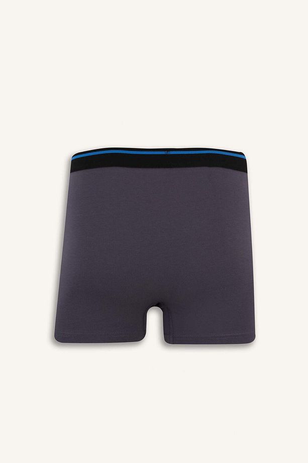 Regular Fit 3'lü Boxer E7208ax25sm - 3