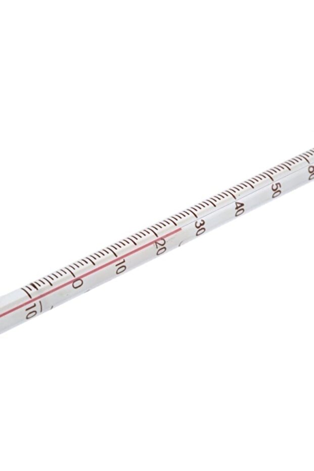 Termometre Cam 110 c - 3