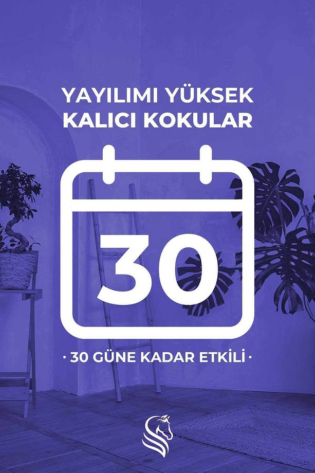Özel Gün Hediye Kutulu Sümbül Çubuklu Oda Kokusu Hyacinth Reed Diffuser 100ml - 4