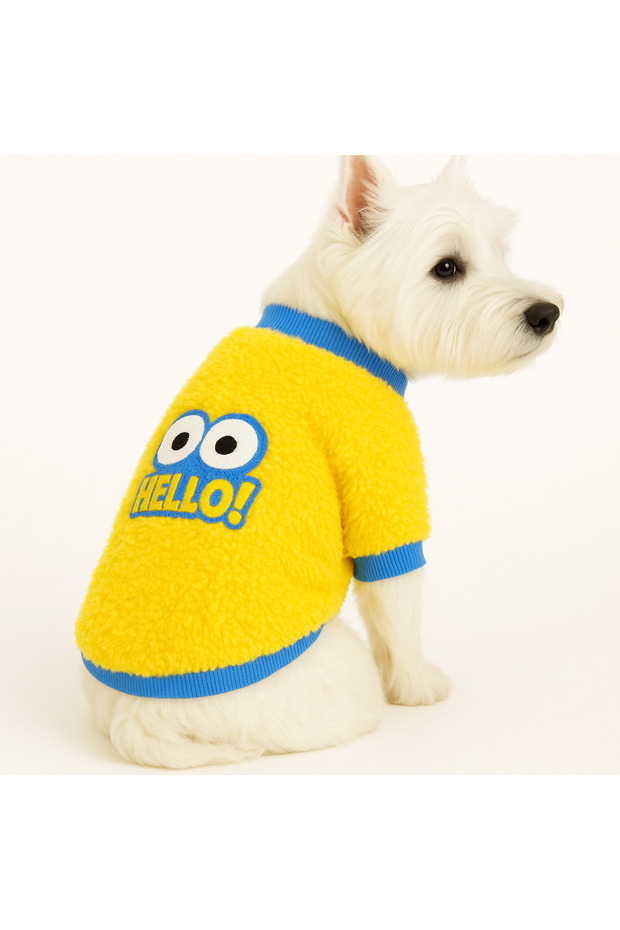 Small Breed Hello Polar Cat & Dog Sweatshirt (1-10 Kg)