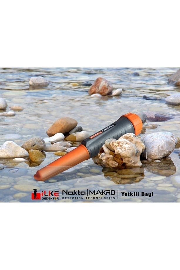 Nokta Pointer - 2